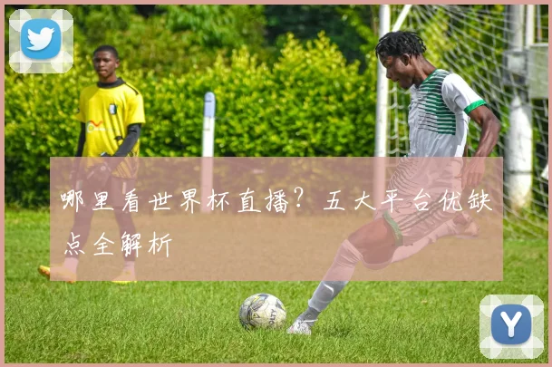 哪里看世界杯直播？五大平台优缺点全解析