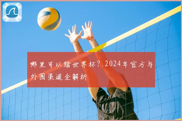 哪里可以赌世界杯？2024年官方与外围渠道全解析
