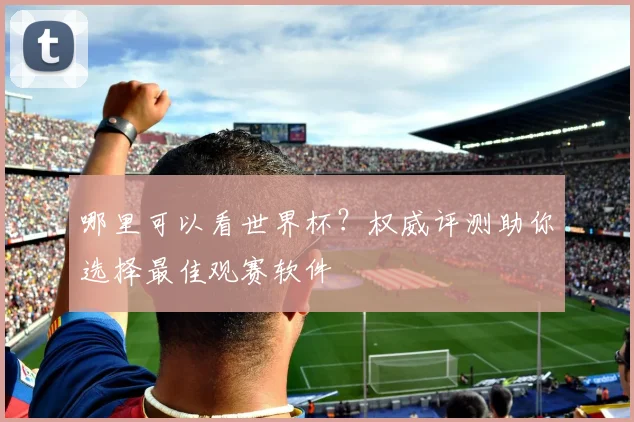 哪里可以看世界杯？权威评测助你选择最佳观赛软件