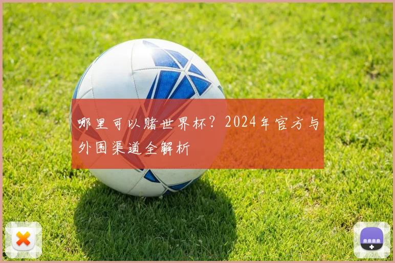 哪里可以赌世界杯？2024年官方与外围渠道全解析
