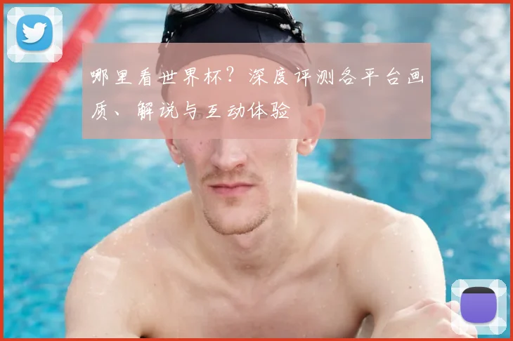 哪里看世界杯？深度评测各平台画质、解说与互动体验