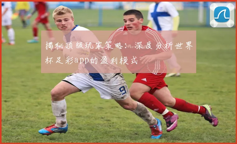 揭秘顶级玩家策略：深度分析世界杯足彩app的盈利模式