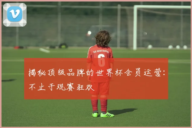 揭秘顶级品牌的世界杯会员运营：不止于观赛狂欢